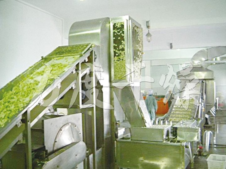脫水蔬菜專用帶式干燥機