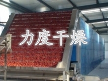 紅棗帶式干燥機 紅棗帶式干燥機
